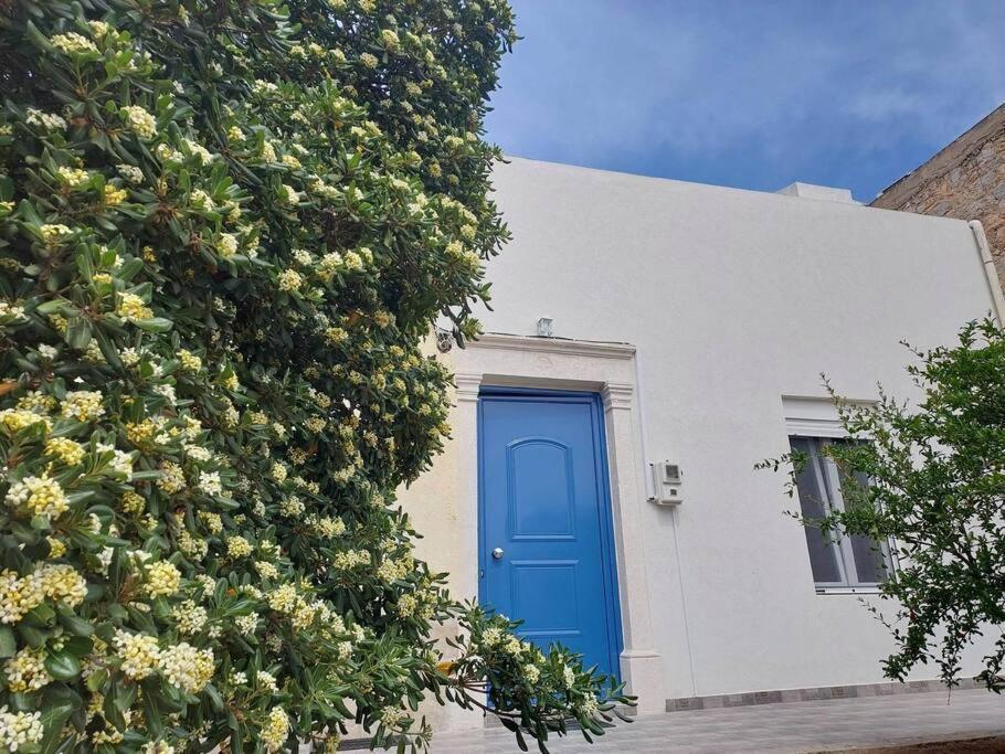 Lion'S House Villa Kalymnos Town Ngoại thất bức ảnh